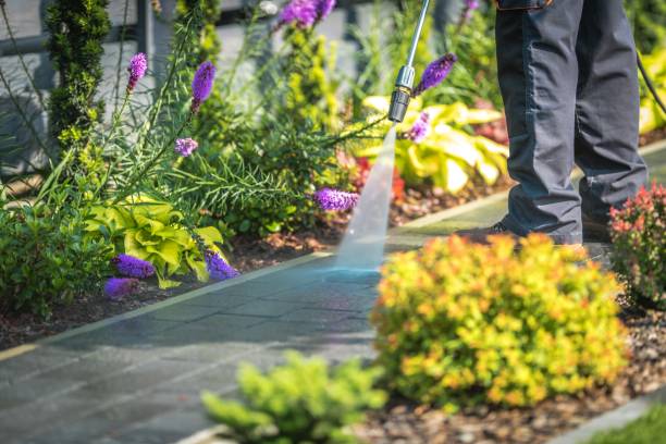 Best Winterizing Services  in Hazen, AR